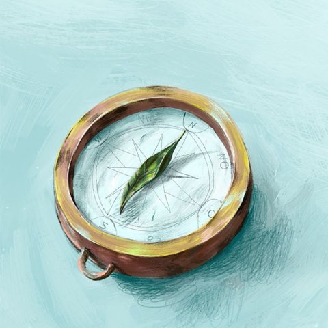 Illustration: Natascha Baumgärtner